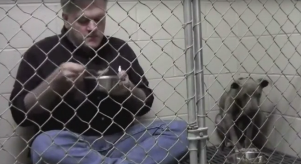 Doktor Endi Matis, veterinar, kavez