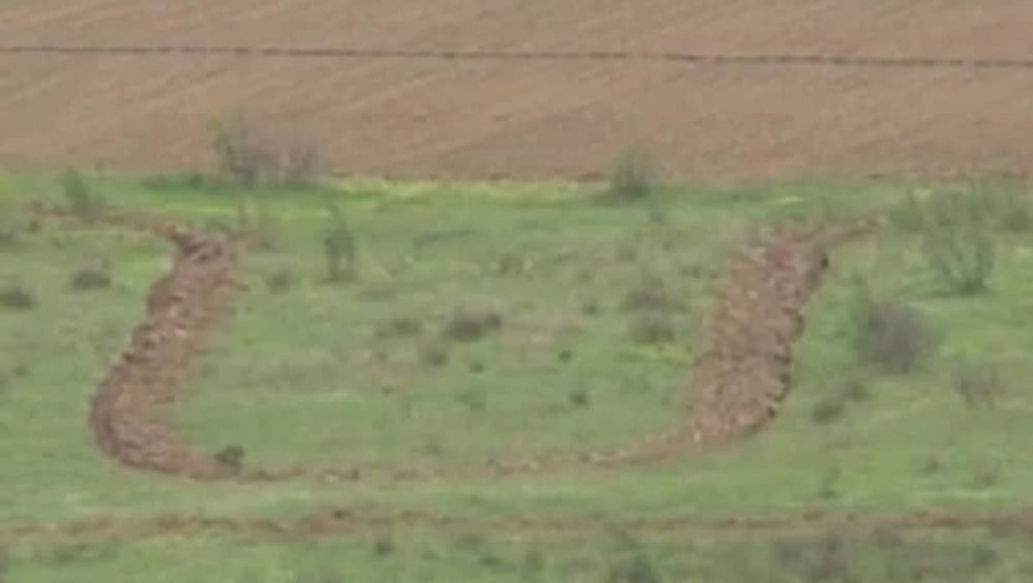 Ustaški simbol u srpskoj njivi