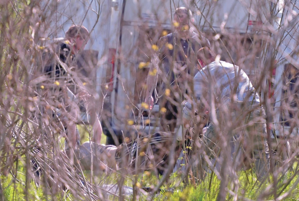 Policija pronašla unakaženo telo ubijene žene