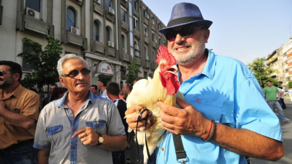 Novi Sad kontra protest