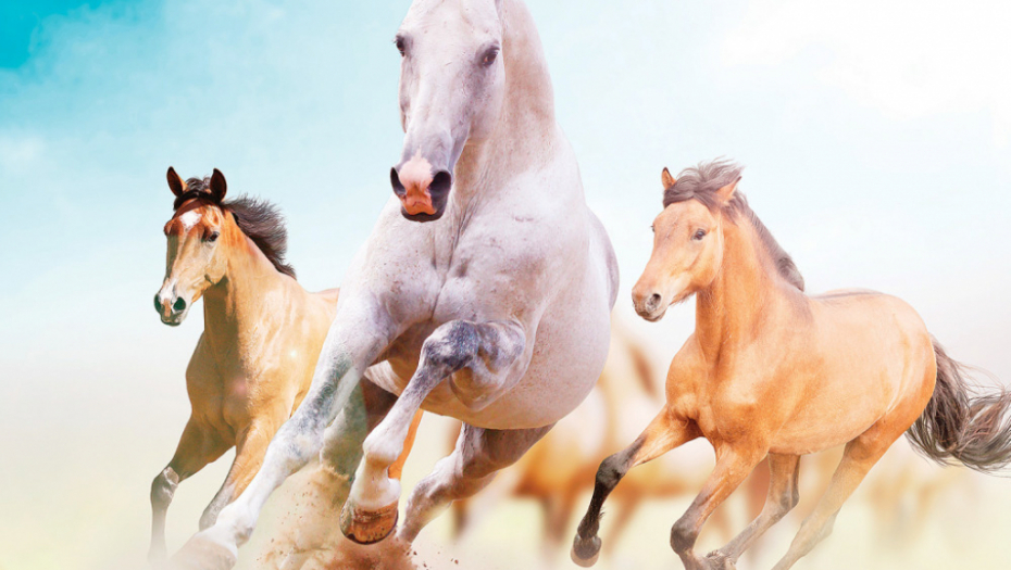 Rastumačite svoje najdublje emocije i najskrivenije osobine