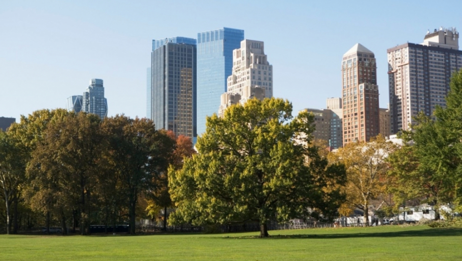 Central park, Njujork