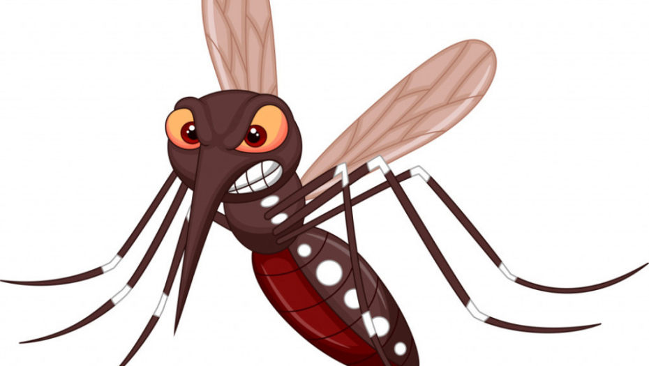 komarac