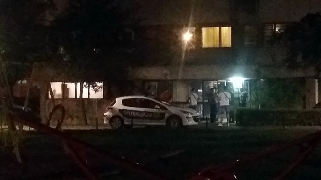 Pucnjava u Novom Beogradu