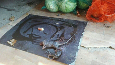 Baza Žandarmerije u KZB