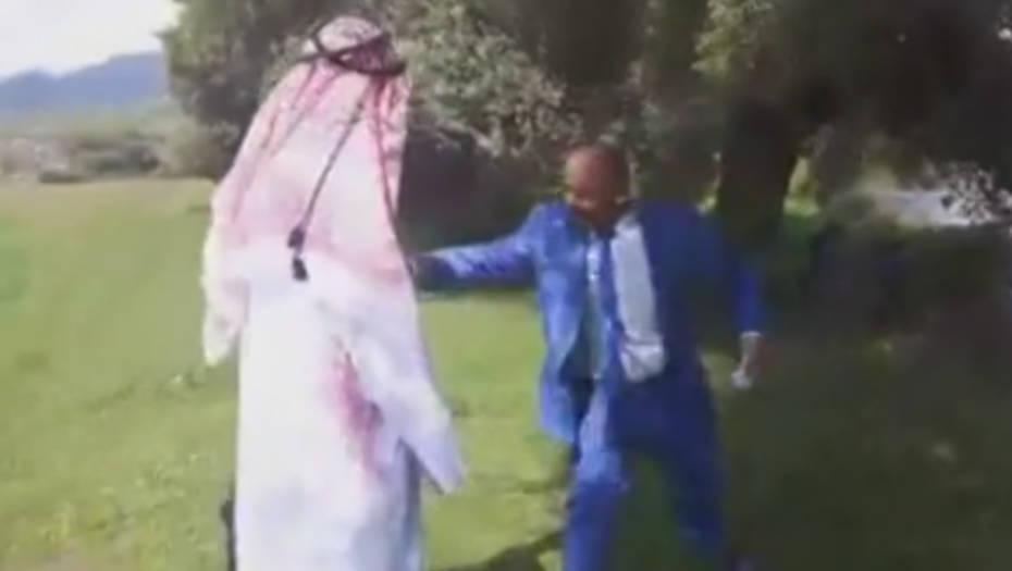 Zmaj prodaje imanje šeiku