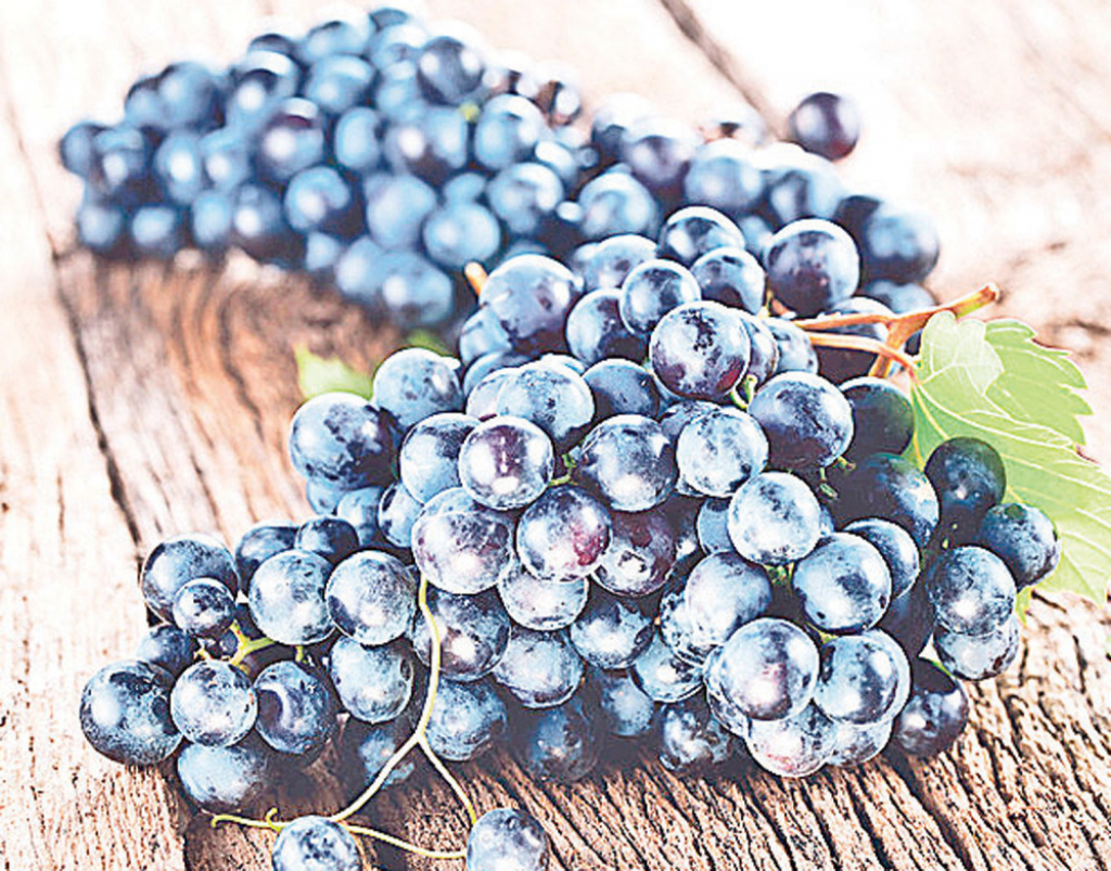 Grožđe