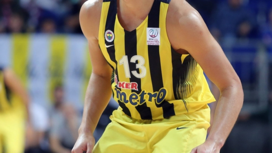 Bogdan Bogdanović