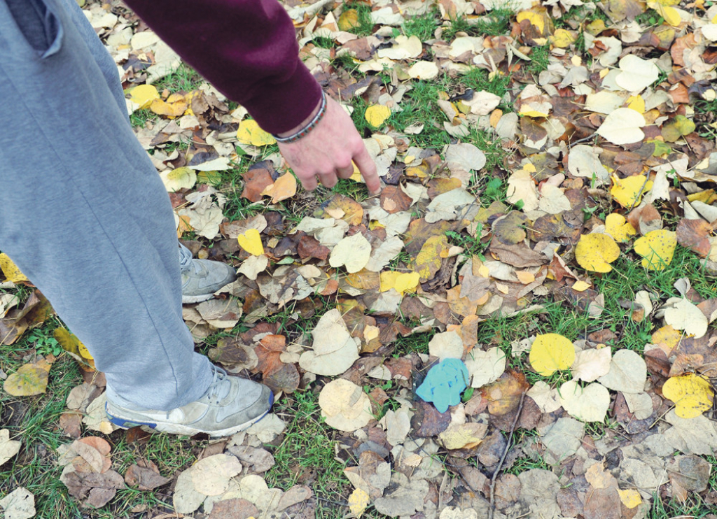 Policija odnela lobanju na veštačenje: Mesto na kojem je nađena