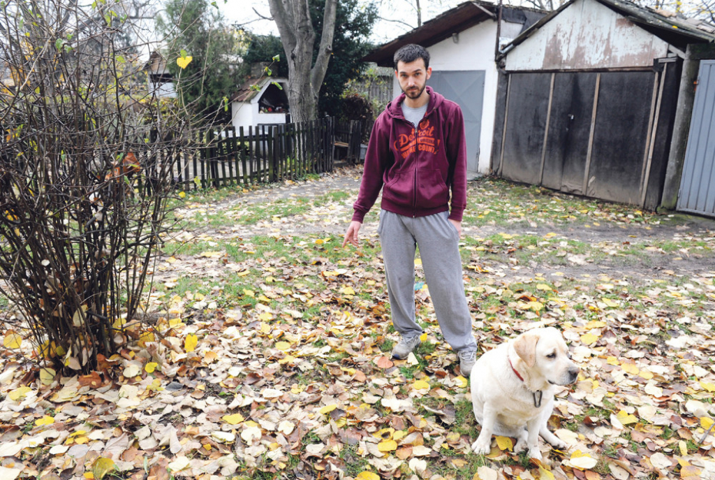 Ljudske ostatke najverovatnije dovukao pas  