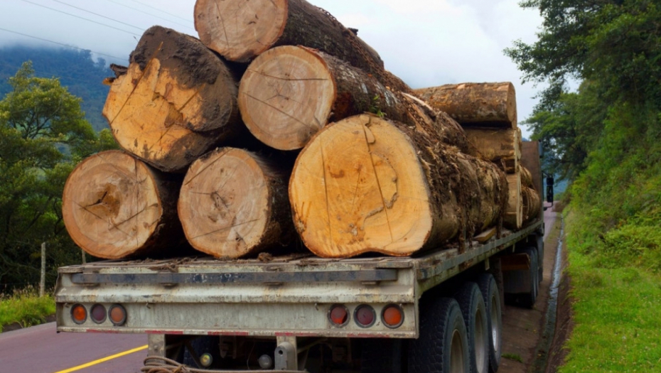 Kamina sa drvima balvanima Drva Balvani