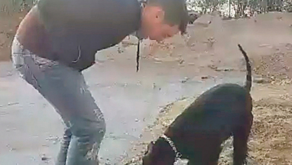 Udruženim snagama: Petar i Beta