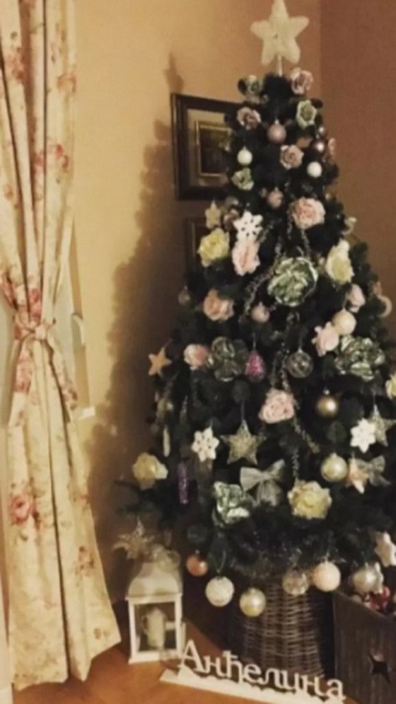 Jelka iz doma Bojana Vaskovića