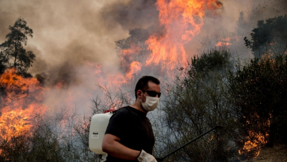 Šumski požar u Čileu