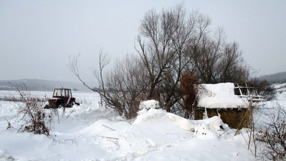 Telo pronađeno stotinak metara od kolibe