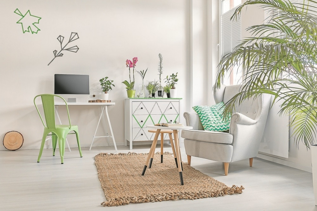 Biljke stan soba prostorija enterijer fotelja kutak