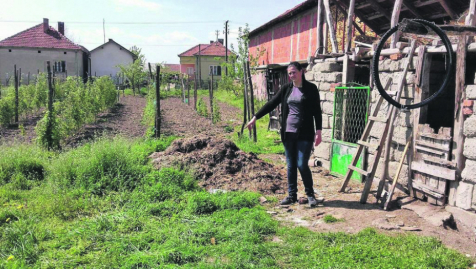 Mesto gde je pas preklao babu