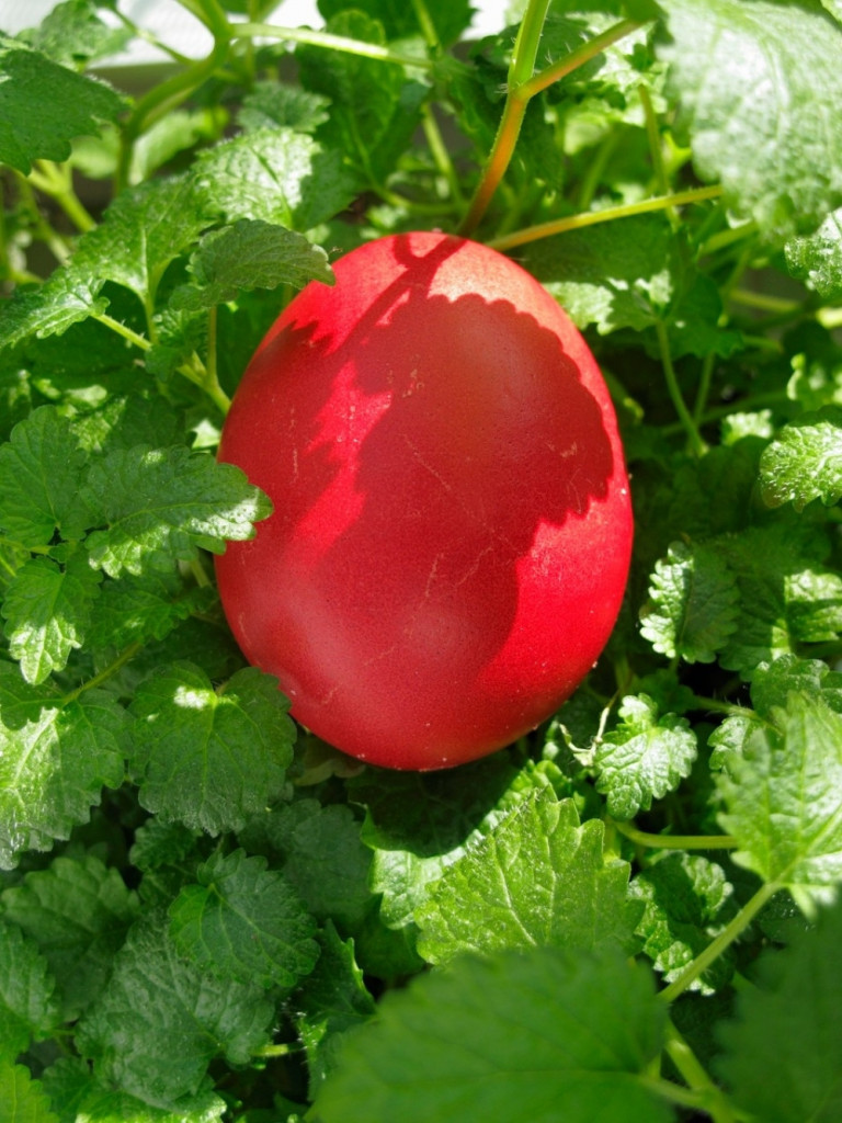 Jaje uskrs uskršnje jaje