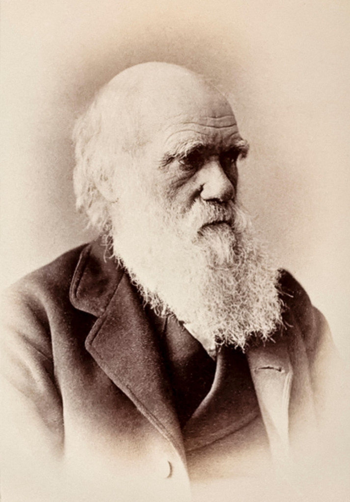 Čarls Darvin