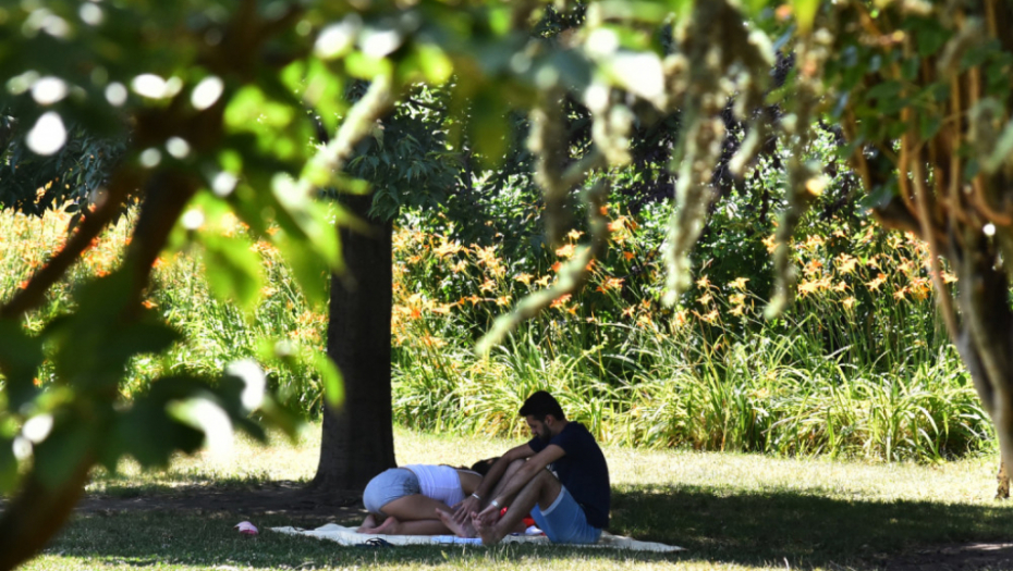 Novosađani u hladovini tražili spas od vrućine