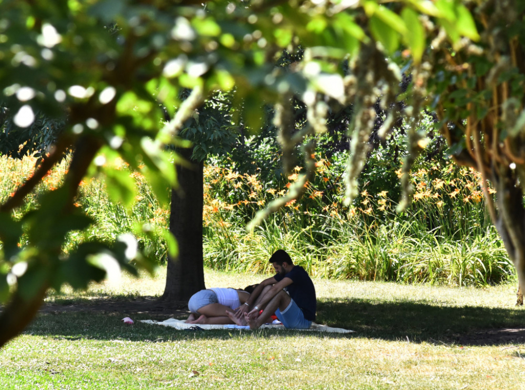 Novosađani u hladovini tražili spas od vrućine
