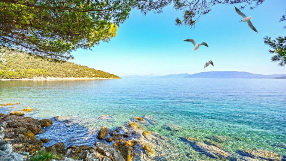 Jadransko more istra hrvatska piranski zaliv