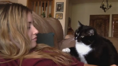 Maca tera vlasnicu da je mazi