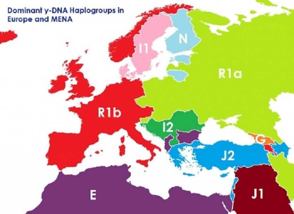 DNK mapa