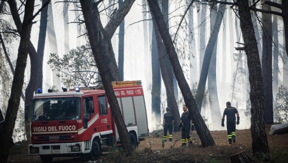 Italija šuma požar šumski požar
