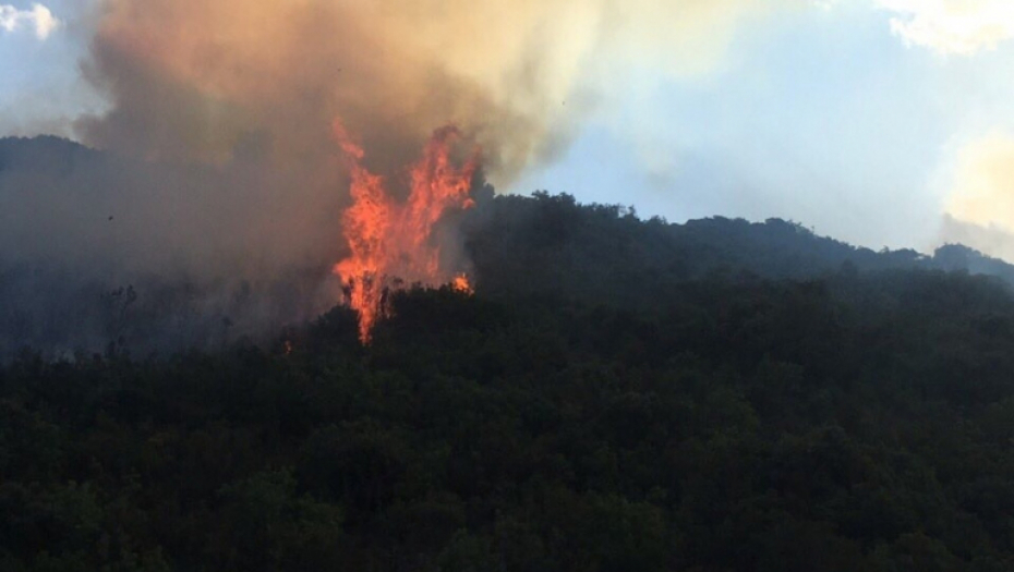 Požar Crna Gora Bigovo