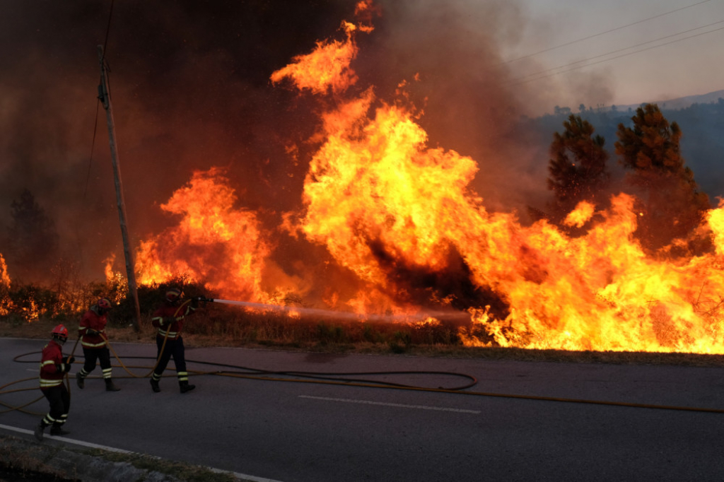 Šumski požar u Portugalu