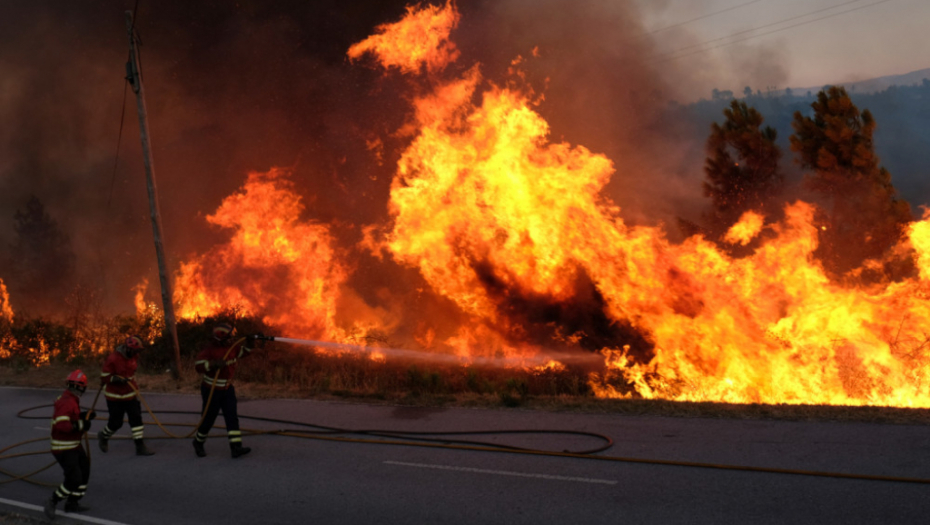 Šumski požar u Portugalu