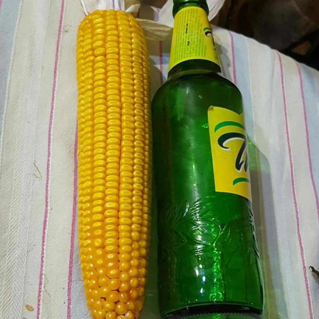 Kukuruz iz Marijanove ba&scaron;te 