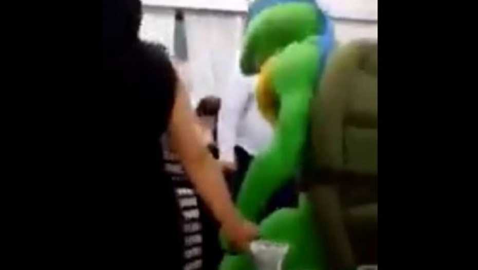 Nindža kornjača na svadbi