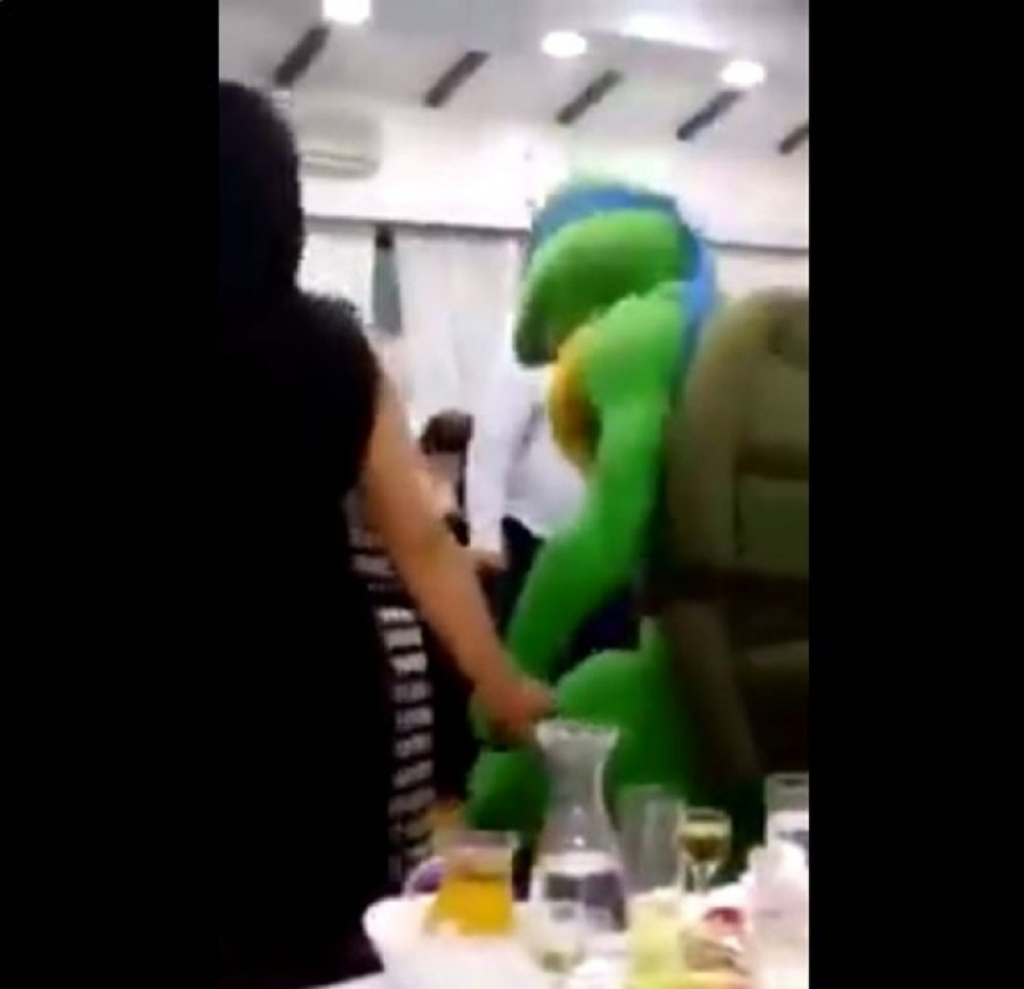 Nindža kornjača na svadbi