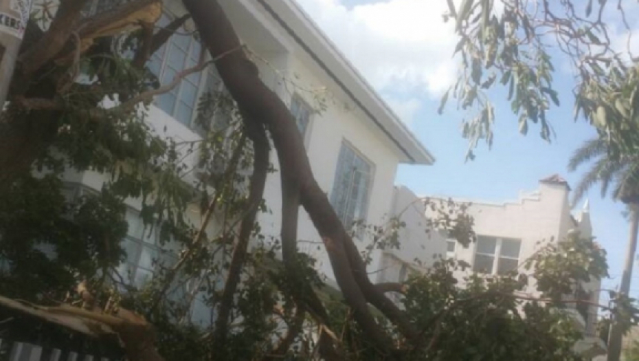 Srbe ni Irma nije oterala iz Majamija