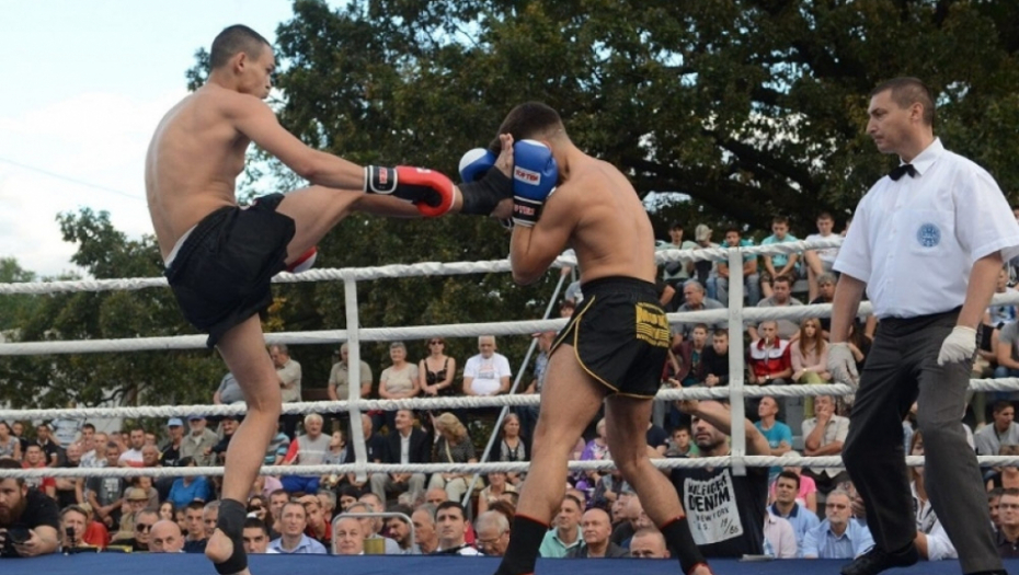 Tigrovi protiv Makedonaca 