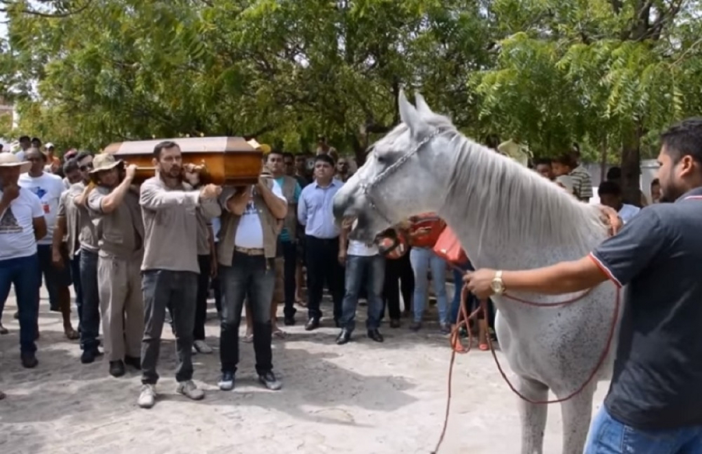 Konj na sahrani svog vlasnika, YouTube