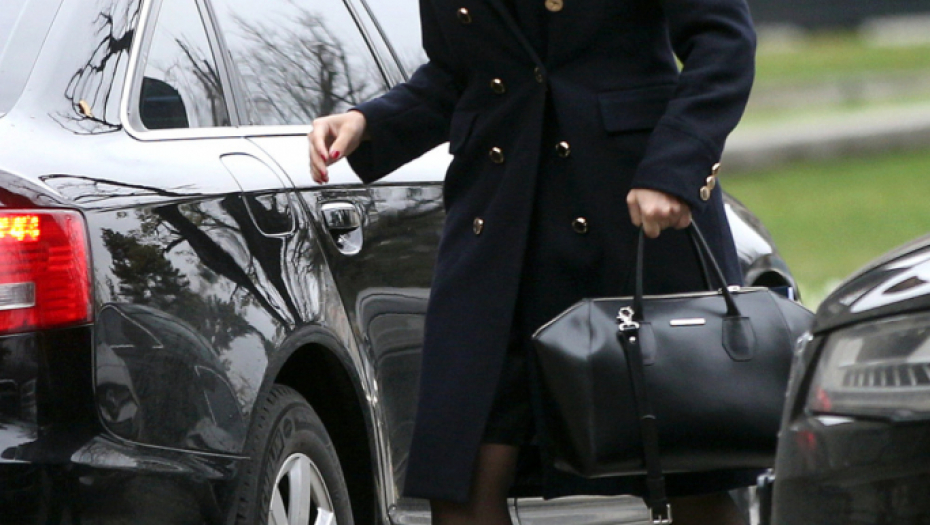 Sednica Saveta za nacionalnu bezbednost, Nela Kuburović