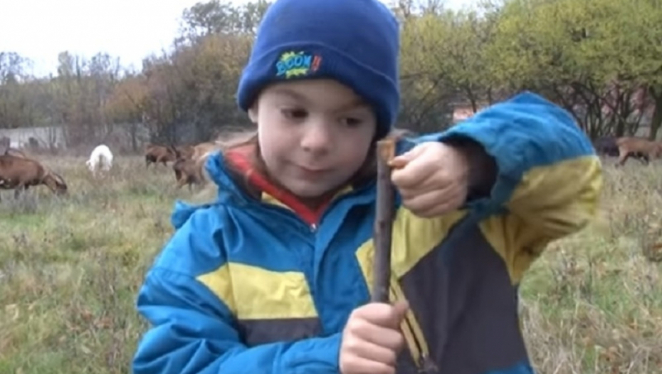 Milutin najmlađi pastir u Srbiji