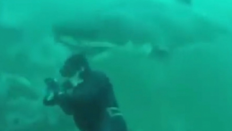 Za dlaku, facebook.com/ Ocean Imaging Action