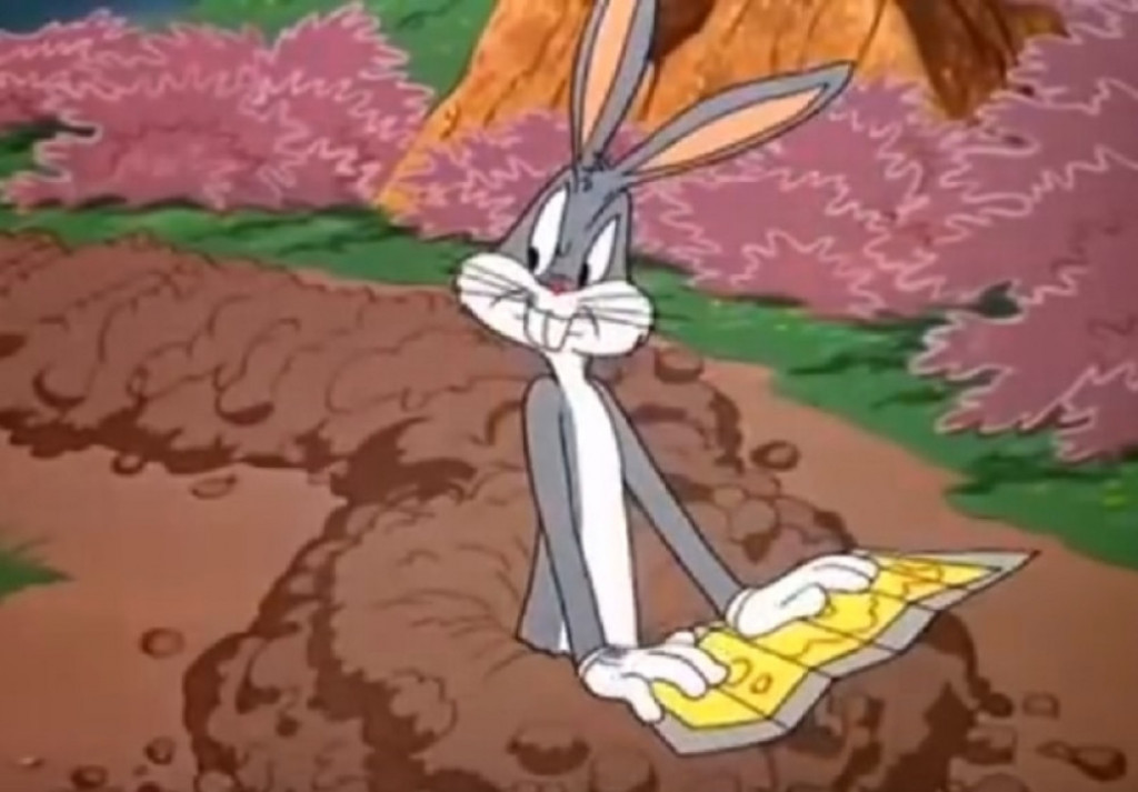 Di&scaron;ko Dugou&scaron;ko