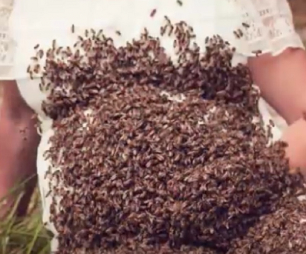 Trudna se slikala sa 20.000 pčela