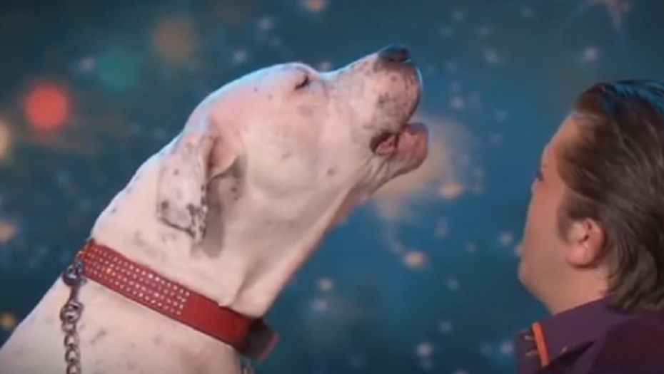 Pas peva "I will always love you"