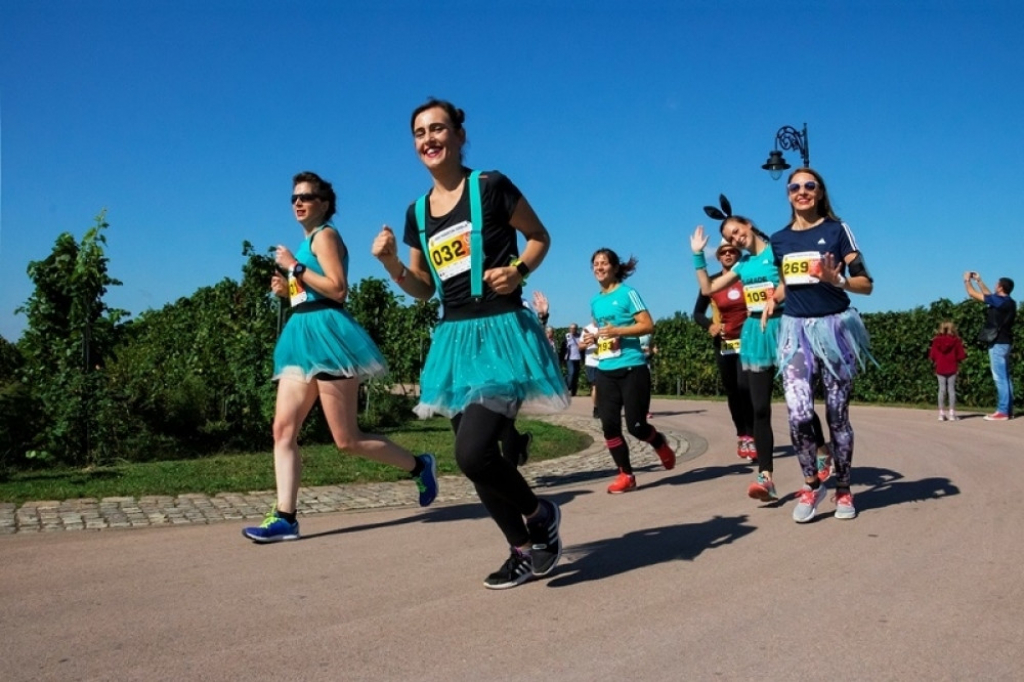 Trčanje kroz palićke vinograde