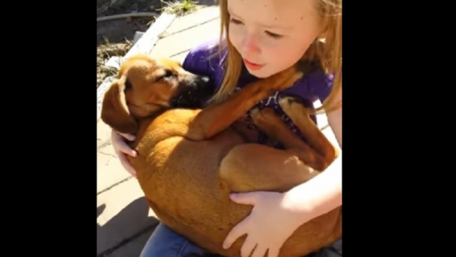 Devojčica uspavljuje psa
