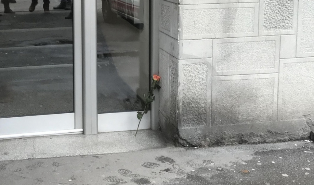 Ruža ispred zgrade