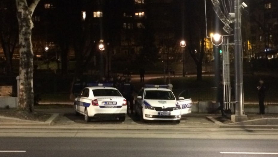 Tuča navijača u Karađorđevom parku, policija 
