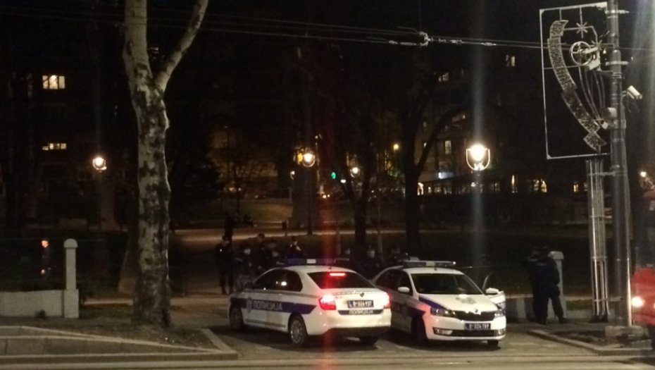 Tuča navijača u Karađorđevom parku, policija 