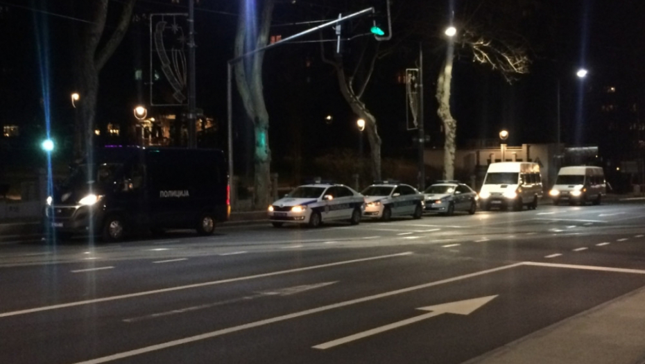 Tuča navijača u Karađorđevom parku, policija 